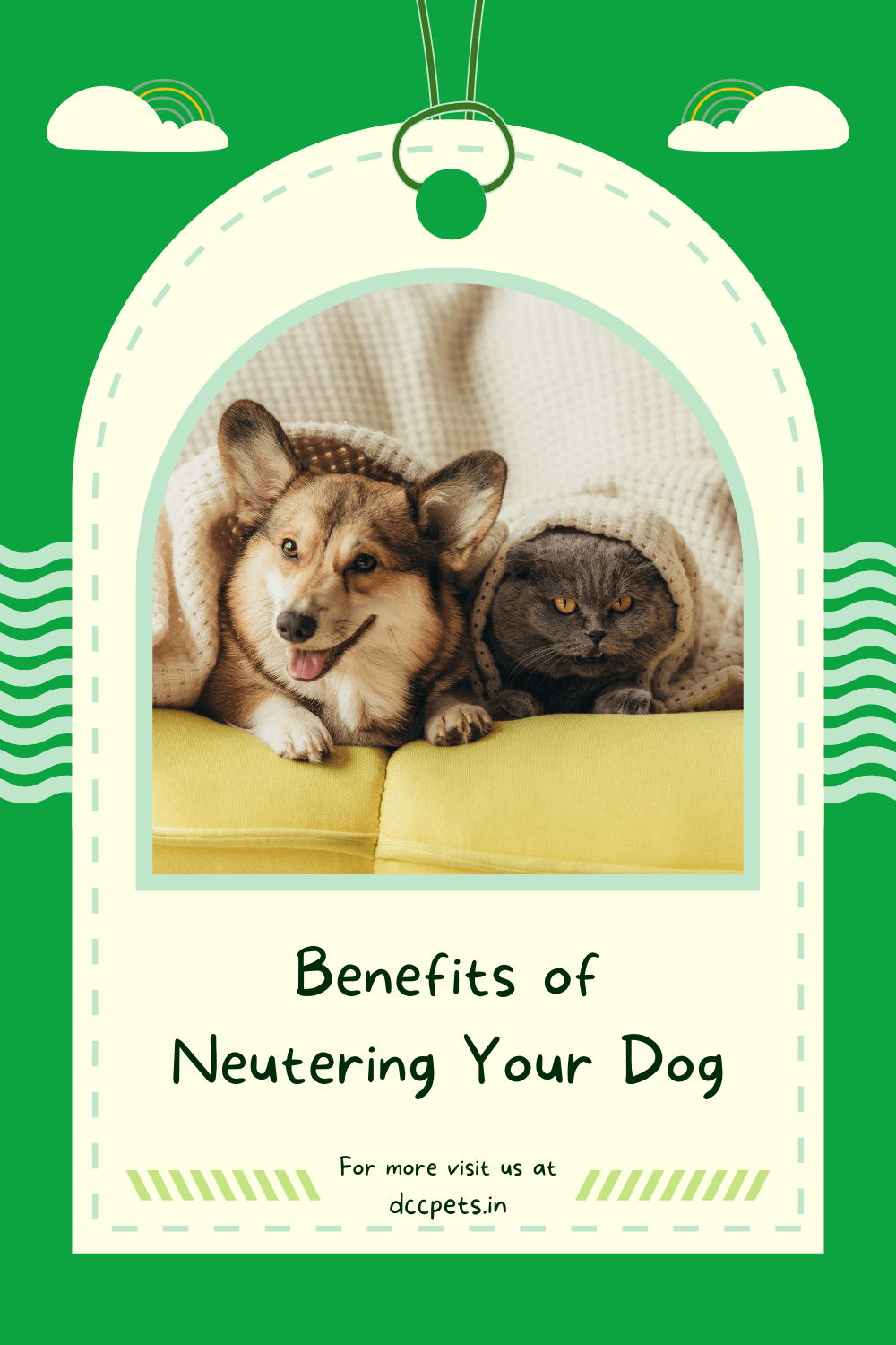 Benefits of Neutering Your Dog