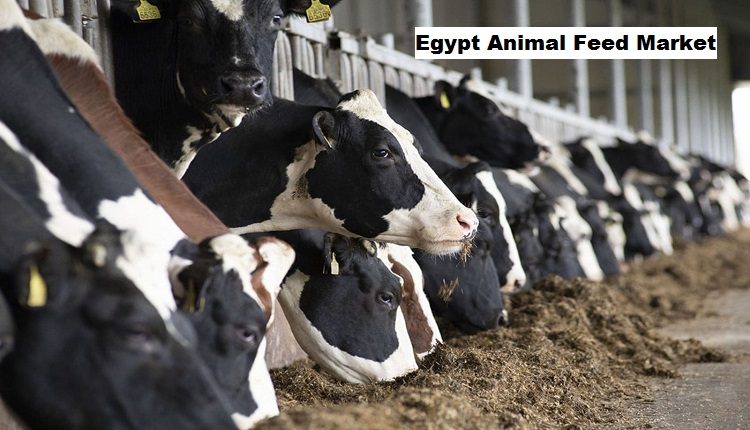 Egypt Animal Feed Market