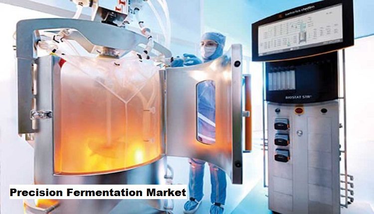 Global Precision Fermentation Market