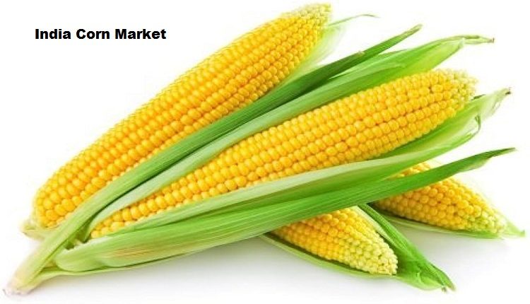 India Corn Market
