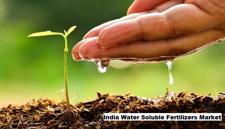 India Water Soluble Fertilizers Market