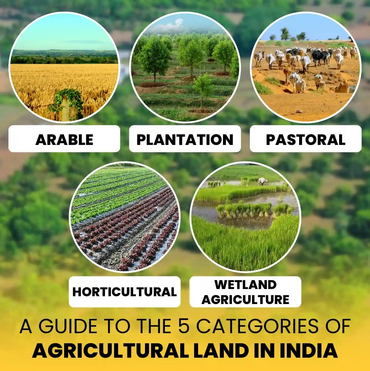 Agriculture farmland